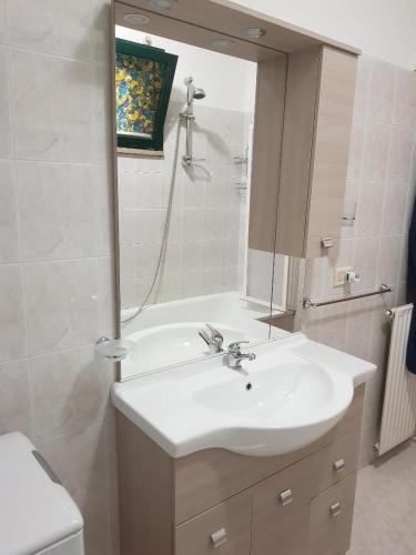a bathroom with a sink and a mirror at Parco Madonnetta in Acilia