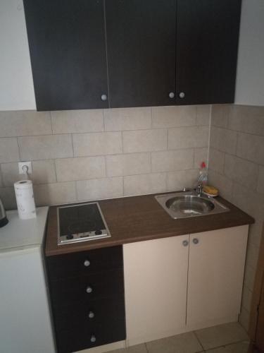 Dapur atau dapur kecil di Rooms Aračić