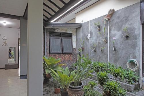 a bunch of plants on the side of a building at RedDoorz @ Soekarno Hatta 2 in Malang