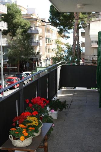 Φωτογραφία από το άλμπουμ του Calamilloraptm σε Son Servera