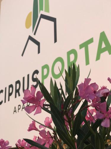 Fotografie z fotogalerie ubytování Ciprus Porta Apartmanok v destinaci Balatonkenese