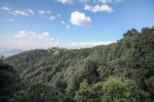 auliculiculiculiculiculiculiculiculiculiculiculiculiculiculic at Binsar Forest Retreat in Binsar