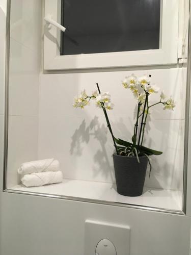 トロワにあるAnna’s Homeの浴室の棚に座る花鉢