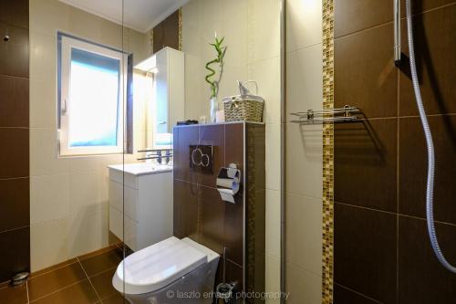 バラトンケネシェにあるCiprus Porta Apartmanokのバスルーム(トイレ、洗面台、シャワー付)