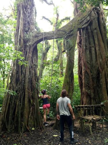 Tetamu yang menginap di Puri Lumbung Cottages Restaurant & Spa Munduk