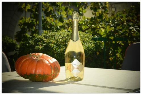 a bottle of wine sitting on a table next to a pumpkin at Apartments Boric in Lopar