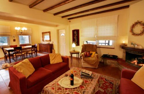 a living room with a couch and a fireplace at Villa Filokosta in Pertouli