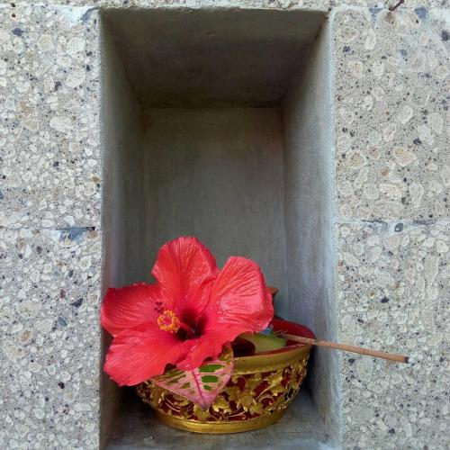 a red flower in a bowl in a wall at Arnaya Homestay in Kuta