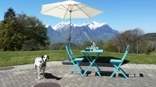Fotografie z fotogalerie ubytování Chalet Aisha v destinaci Corbeyrier