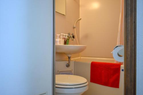 a small bathroom with a toilet and a sink at Mojo Lodge Hakuba in Hakuba