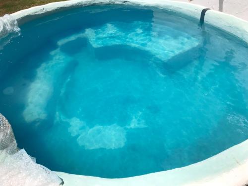 a dog in a pool of blue water at Kromrivier Farm Stays & B&B Near Addo Elephant Park in Paterson