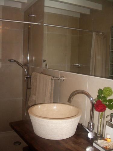 a bathroom with a bowl sink on a counter at Lodge & lake in Buchillon