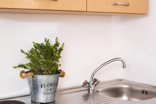 a potted plant sitting on top of a kitchen sink at Anna Maria in Malia