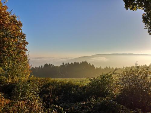 a view of a foggy field with trees in the background at Ferienhof Schmickerath in Simmerath