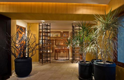 a room with three large potted plants in a room at Cala de Mar Resort & Spa Ixtapa in Ixtapa