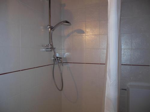 La salle de bains est pourvue d'une douche avec un pommeau de douche. dans l'établissement B&B AL BRIC, à San Raffaele Cimena