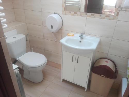 een kleine badkamer met een toilet en een wastafel bij Agroturystyka u Tadka in Klęczany