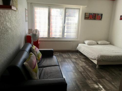 ein Wohnzimmer mit einem Sofa und einem Bett in der Unterkunft Résidence de lux tout confort 2 in Genf