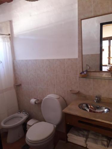y baño con aseo y lavamanos. en cabañas Yamasu Huasi en Cafayate