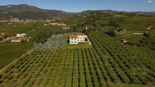 an aerial view of a farmhouse in a vineyard at Agriturismo Valentina Cubi in Fumane