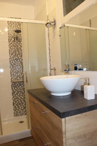 une salle de bain avec un lavabo blanc et une douche dans l'établissement Gîte de Closeure, à Billy