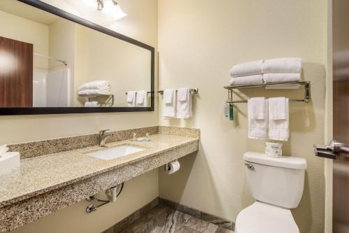Ett badrum på Cobblestone Hotel & Suites - Victor