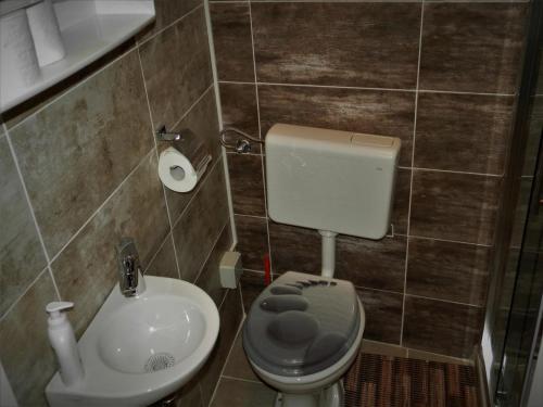 a small bathroom with a toilet and a sink at Apartment Bella Vita in Zagreb