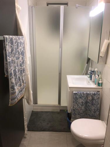 a bathroom with a shower and a toilet and a sink at Homestay Zürich HB Room in Zurich