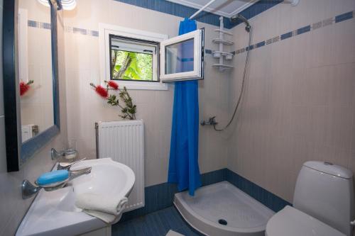 uma casa de banho com um WC, um lavatório e um chuveiro em Tatiana Studio with Private Pool em Akrotiri