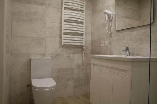 łazienka z toaletą i umywalką w obiekcie EVA apartment w Wilnie