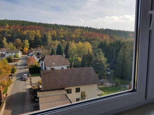 a view from a window of a house and trees at Landgasthaus Klosterhof in Fischbach