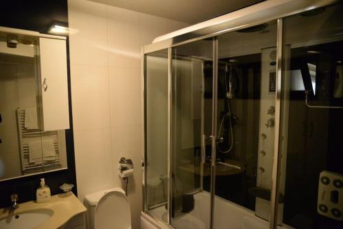 ブカレストにあるDREAM Party VILLAのバスルーム(シャワー、トイレ、シンク付)
