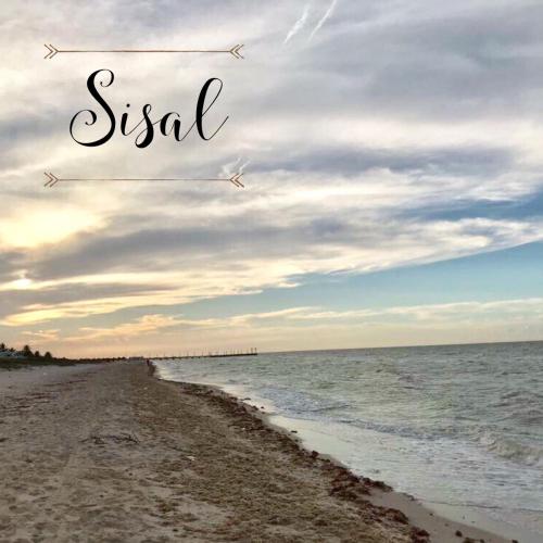 an airplane is flying over a beach with the words sick at CASA KINICH SISAL in Sisal