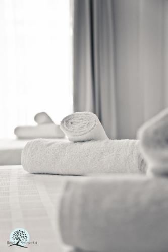 パラリア・ディオニショウにあるHotel Melissanthiのベッドの上に座るタオル
