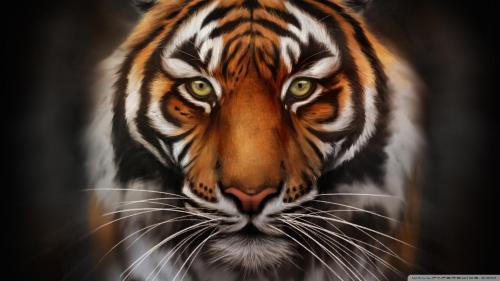 a painting of a tiger looking at the camera at Zoo House Chester in Chester