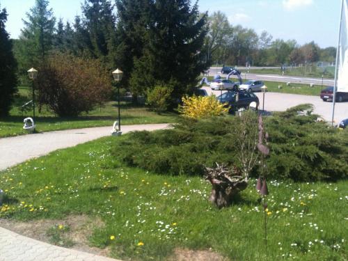 a garden in a park with flowers in the grass at Hotel-Pension Am Mühlberg in Lübbenau