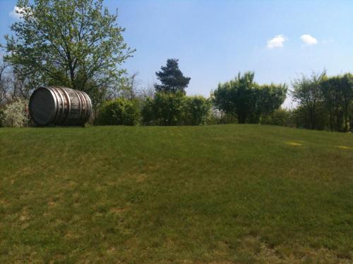 a barrel sitting on top of a grass field at Hotel-Pension Am Mühlberg in Lübbenau