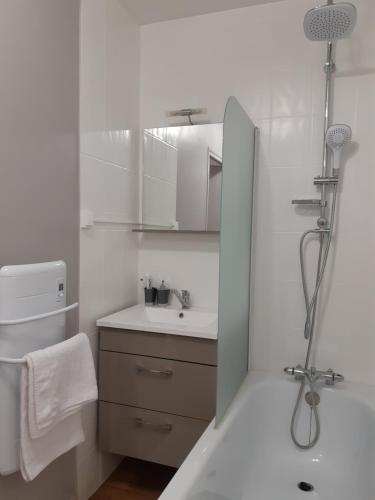Ванная комната в Le Vaillant, appartement T2, proche gare, hyper-centre et marais, 1 à 2 personnes, WIFI