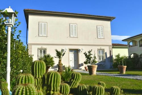 a house with a cactus in front of it at Casa Oliver in Lucca