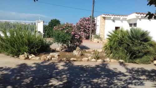 a garden with rocks and plants in front of a building at Les Casetes de Camarles in Camarles
