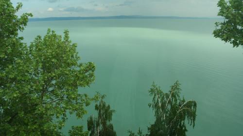 a view of the water with trees in the foreground at Hotel Lido in Siófok