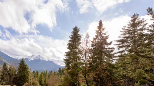 a group of trees with mountains in the background at Country Club Hotel & Suites in Mikrón Khoríon