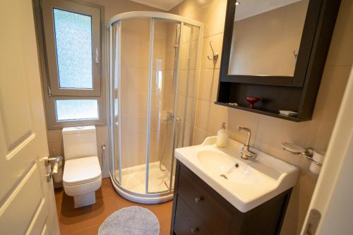 a bathroom with a shower and a toilet and a sink at Villa Rodi in Katastárion