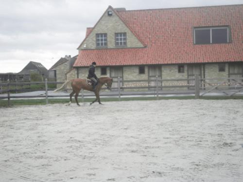 a person riding a horse in front of a house at House Zoute Stables 125sqm in 5 Ha property near seaside in Knokke in Knokke-Heist