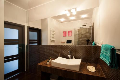 イェレニャ・グラにあるApartament Park Sudeckiのバスルーム(洗面台、鏡付)