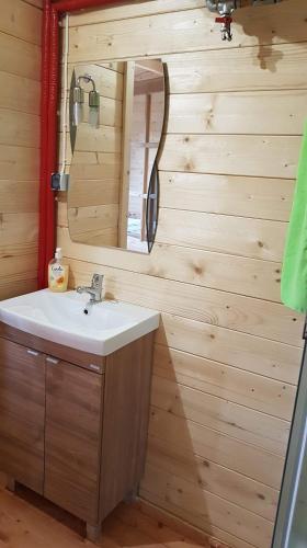 a bathroom with a sink and a mirror at Osada nad Szumem in Józefów