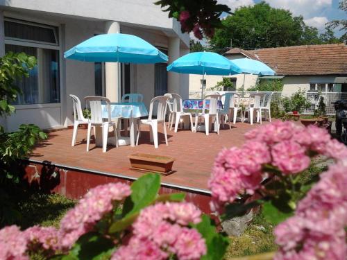 Zahrada ubytování Apartman Pávai-Silye