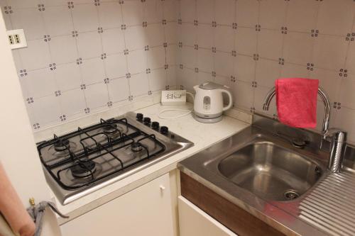 a small kitchen with a stove and a sink at Sant'Agostin Apartment in Venice