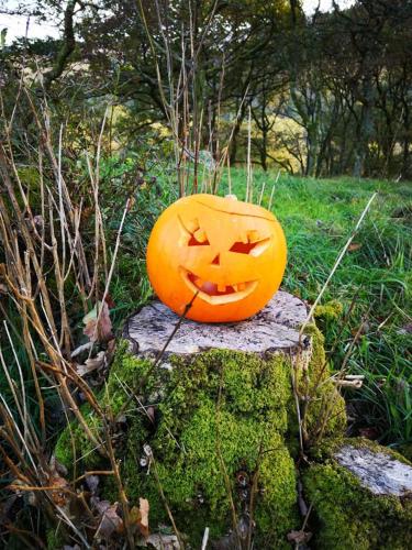 a halloween pumpkin sitting on top of a stump at Bwlcheinion Sea View Glamping in Machynlleth