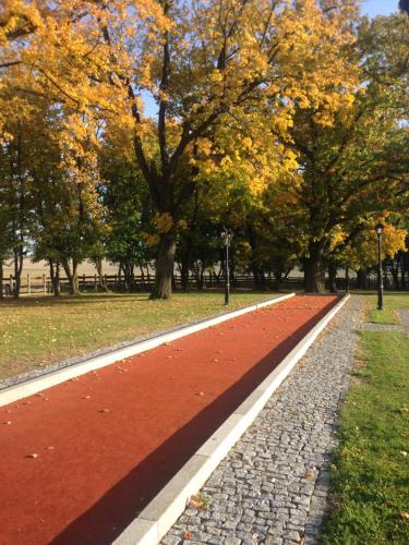 a red path in a park with trees in the background at Pałac w Krzelowie in Krzelów